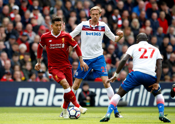 的健康生态 的健康生态