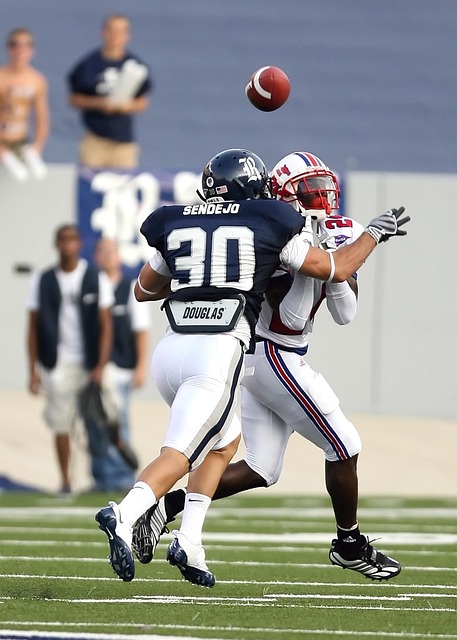 象并不罕见 象并不罕见